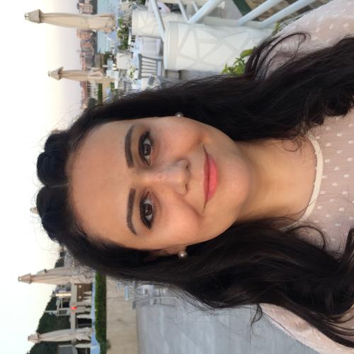 Image of Aslı E. Mert