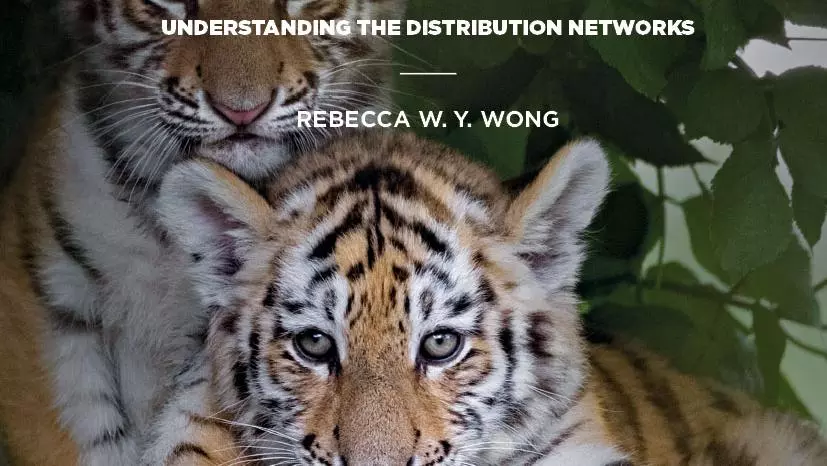 The illegal wildlife trade in china book cover
