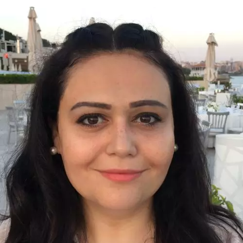 Image of Aslı E. Mert