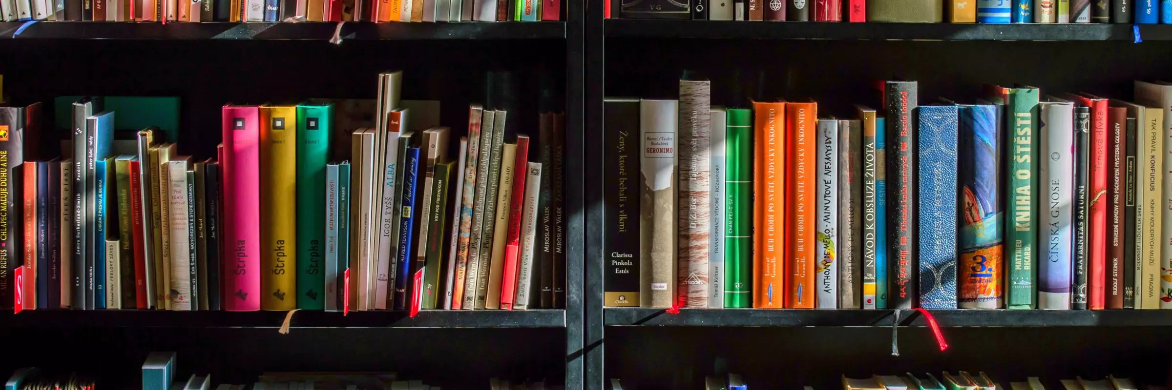 Colourful books on a bookshelf